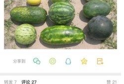 新瓜爆料最新,娱乐圈惊天大事件，真相即将揭晓！